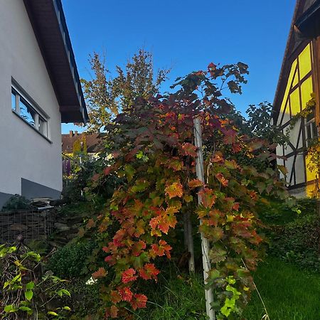 Kleine Auszeit - Ferienwohnung Heideberg - "Rhein" In Den Urlaub Bacharach Kültér fotó