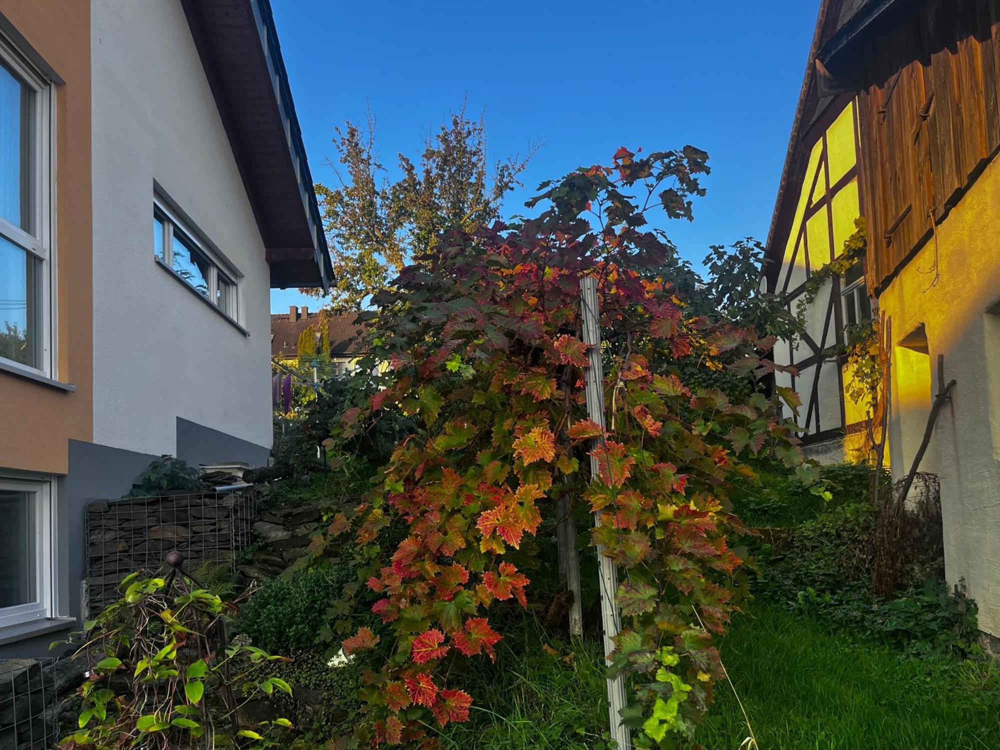 Kleine Auszeit - Ferienwohnung Heideberg - "Rhein" In Den Urlaub Bacharach Kültér fotó
